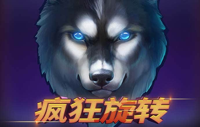 名车体验之宝马